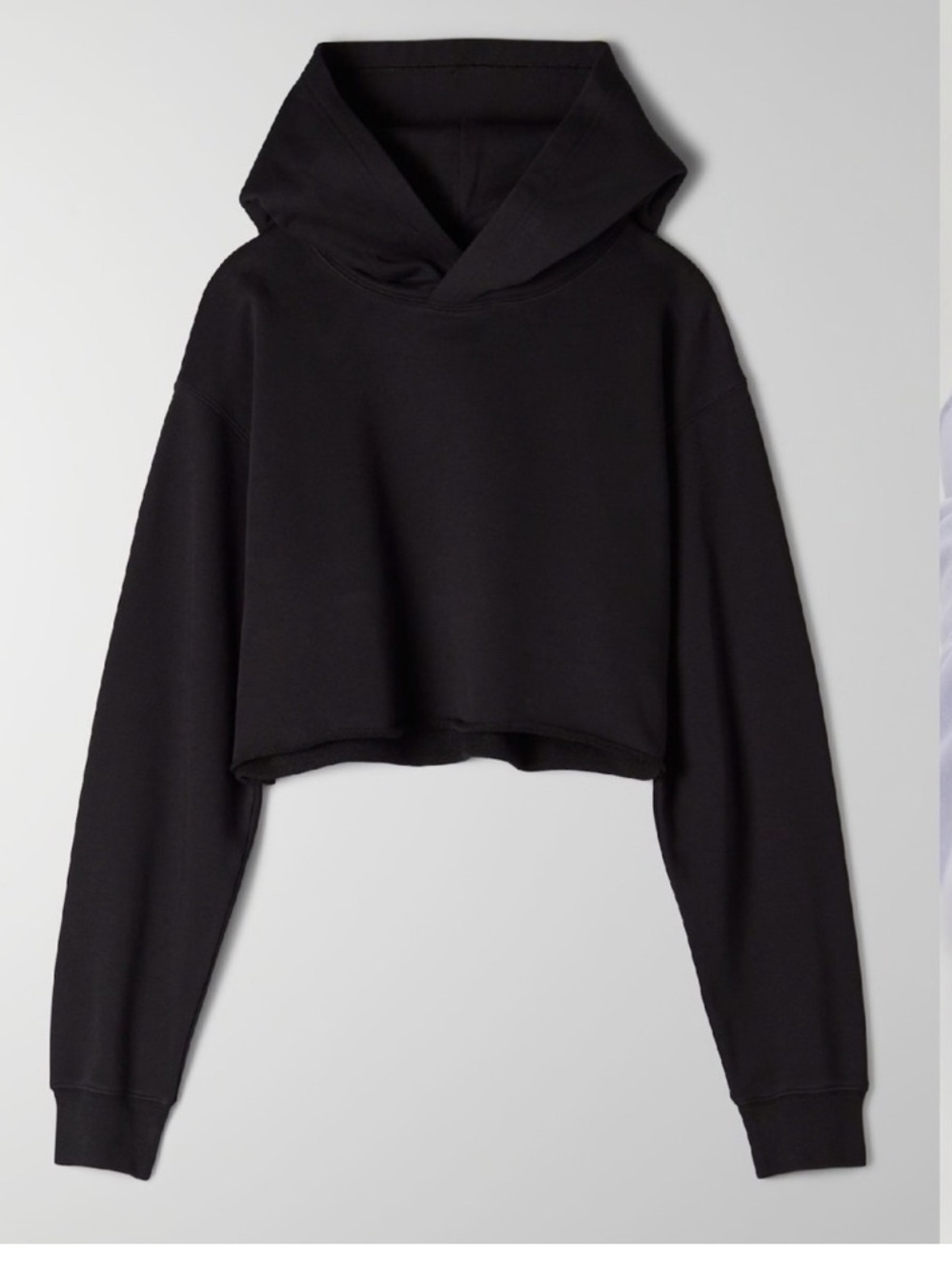 Aritzia Cropped Hoodie